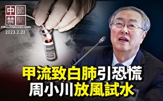 【中国禁闻】中国甲流会引起白肺 多地抢药潮重现