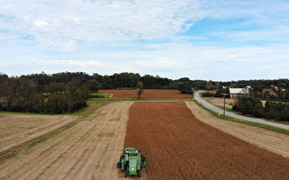气球事件后 美22州考虑限制中资购买农地