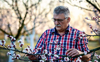 降压减重就靠这运动 3种策略做起来不累