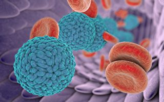 在人休息时，癌症醒来和扩散