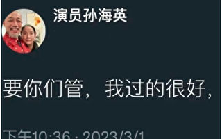 孙海英在美靠捡垃圾维生？真相反转打脸五毛