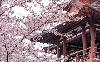 【古道人生】洗衣妇原来是武林高手 巧惩恶吏