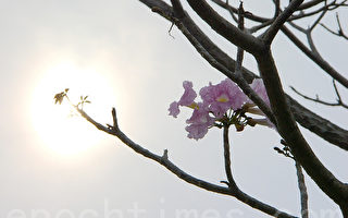 大劫前冥府造册 是否真的在劫难逃