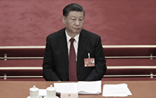 美专家：只要共产党统治中国 习再卖力都失败