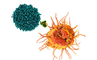 抗癌有最佳时间