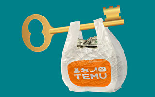 【财商天下】Temu狂飙北美 烧钱越多隐患越大?