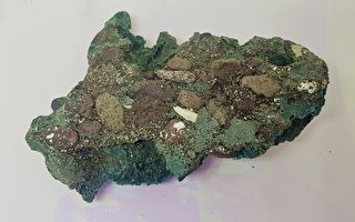 污染影响地质“塑胶岩石”现巴西偏远小岛