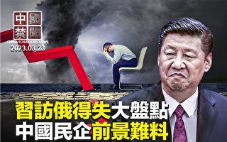 【中国禁闻】习访俄得失大盘点 中国民企前景难料