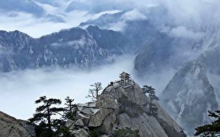 王恶视萨天师为仇人  为何还拜他为师