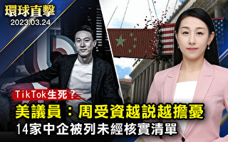 【环球直击】美民间团体国会山集会 支持禁用TikTok