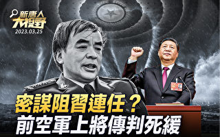 【新唐人大视野】密谋阻习连任？前上将传判死缓