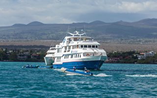 出国旅游受伤 加国男子讲述旅行保险噩梦