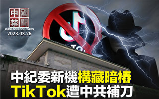 【中国禁闻】中纪委设新机构查内鬼 藏多重意图？