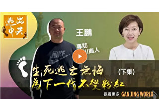 【报料传真】王鹏生死逃亡 为下一代不变成粉红