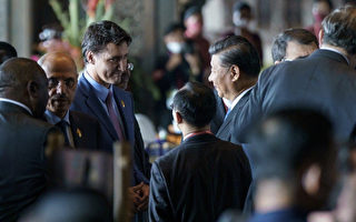 遭中共干预 加国拟设“外国代理人登记处”