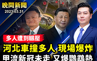 【晚间新闻】河北邯郸驾车撞人案 伤亡或惨重