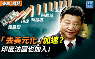 【秦鹏观察】去美元化加速？印度法国也加入