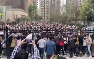 成都小区业主爆大规模冲突 分析指危险信号