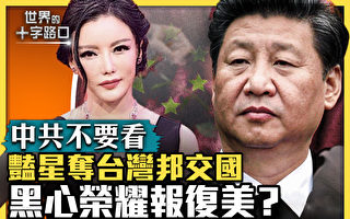 【十字路口】艳星当智库院长 助中共夺台邦交国