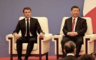 马克龙会习近平 专家：欧洲没有第三条路