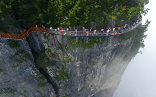 4年轻人在张家界天门山玻璃栈道跳崖自杀