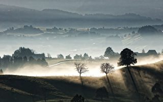 父亲托梦，援助大萧条时的委托人