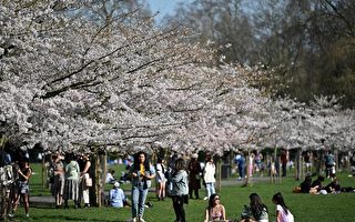 组图：英封锁限制放松 民众户外享受春光明媚