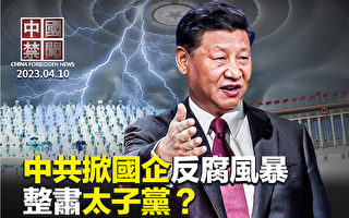 【中国禁闻】整肃太子党？中共再掀金融反腐风暴