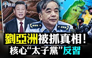 【拍案惊奇】刘亚洲被抓真相 核心太子党反习?