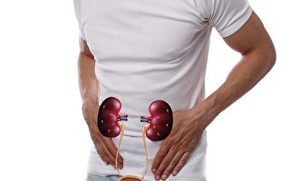 肾衰如何逆转？名中医教你免洗肾要诀