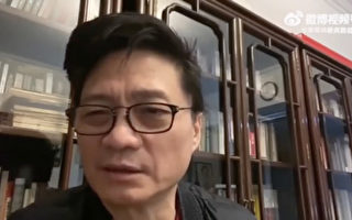 崔永元：胡锡进、金灿荣和张维为将毁国家前途