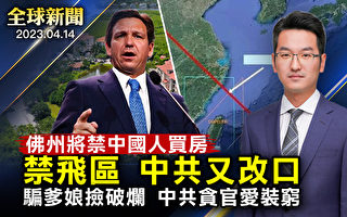 【全球新闻】佛州参院通过法案 禁止中国人买房