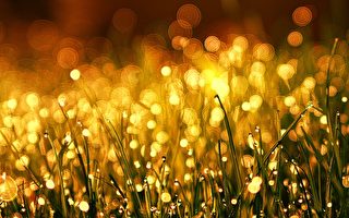 【古道人生】救人三命 天赐白银两坛