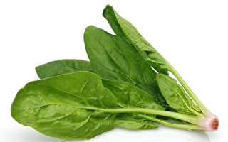 菠菜防白内障 与豆腐同食会结石？答案令你意外