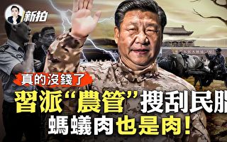 【拍案惊奇】农管再刮民脂 中共巧立名目创收