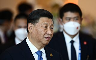 习再提避免倒台的办法 分析：内斗升级信号