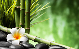 【历代名臣】抬棺进谏的乐运