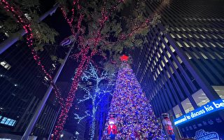 福克斯新闻总部圣诞树遭人纵火