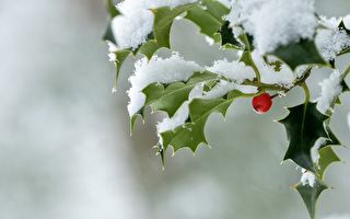 【古道人生】贞女凭一首诗识破假新郎