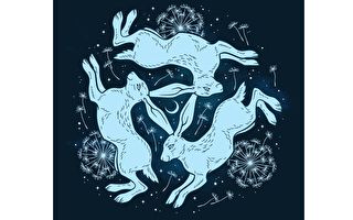 联耳三兔 跨越时空的传奇图腾