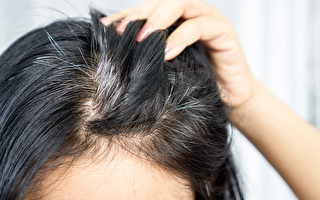 长白发是这些原因造成！6要点1秘诀让白发变黑