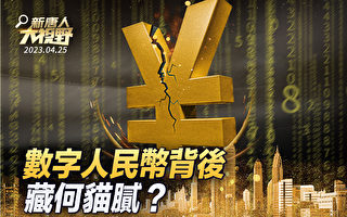 【新唐人大视野】数字人民币背后 藏何猫腻？