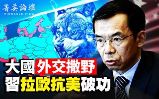【菁英论坛】卢沙野撒野掀风暴 习外交陷困境