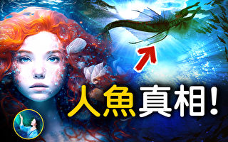 【未解之谜】美人鱼探秘