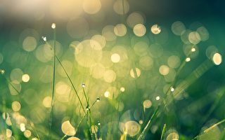 成语故事：结草衔环 生者与死者都不忘感恩图报