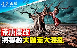 【菁英论坛】中共推土地流转试点 农村浩劫将至