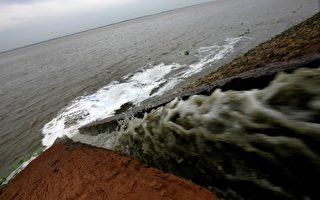 钱塘江大面积河床裸露 发出浓烈腥臭味