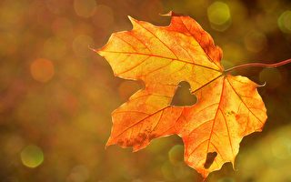 病入膏肓：巫人看到晋景公的梦境 行不义将被取命