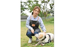 台湾警犬满月照红到国外 成年“福星”再现幕前