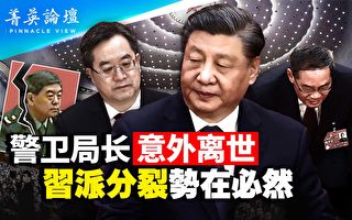 【菁英论坛】王少军突然死亡 习派分裂势在必然